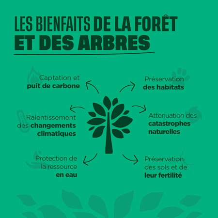 bienfaits foret parrainage coeur foret
