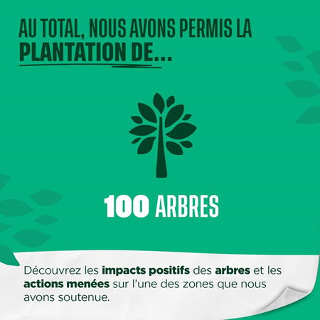 2024 04 pierre et construction cent arbres plantes