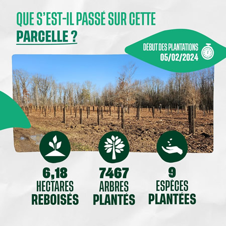 2024 04 pierre et construction plantation arbres sud france