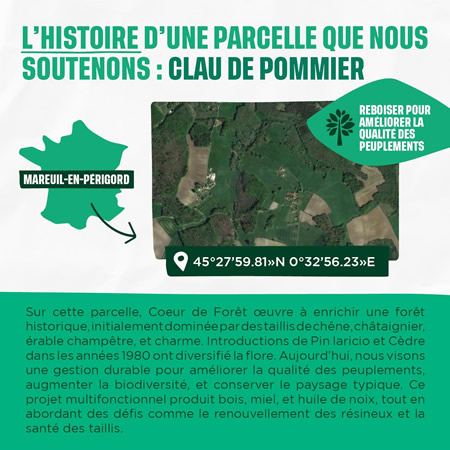 2024 04 pierre et construction reforestation france